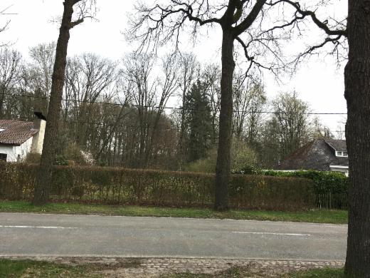 Eerste alternatieve foto van het pand