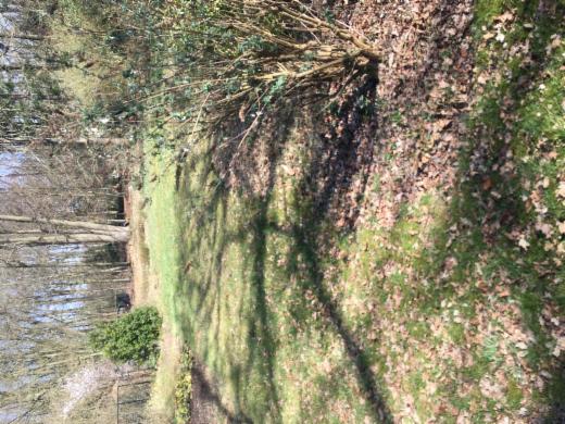 Tweede alternatieve foto van het pand