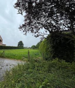 Tweede alternatieve foto van het pand