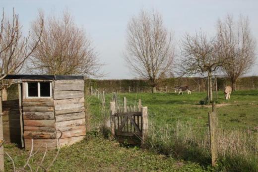 Derde alternatieve foto van het pand