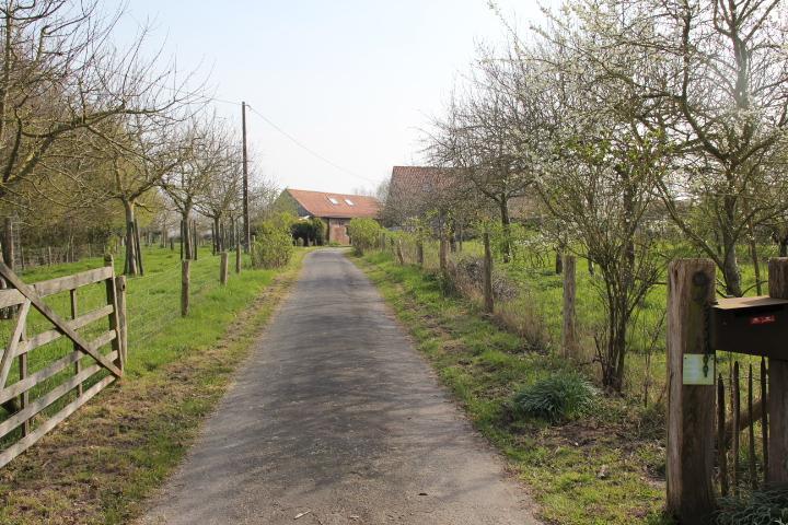 Presentatiebeeld van het pand n° 294589