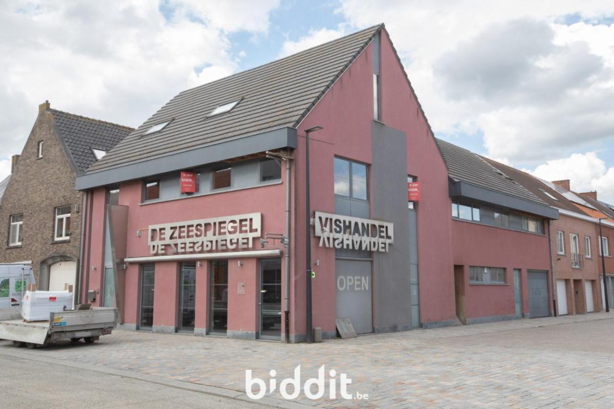 Presentatiebeeld van het pand n° 296183