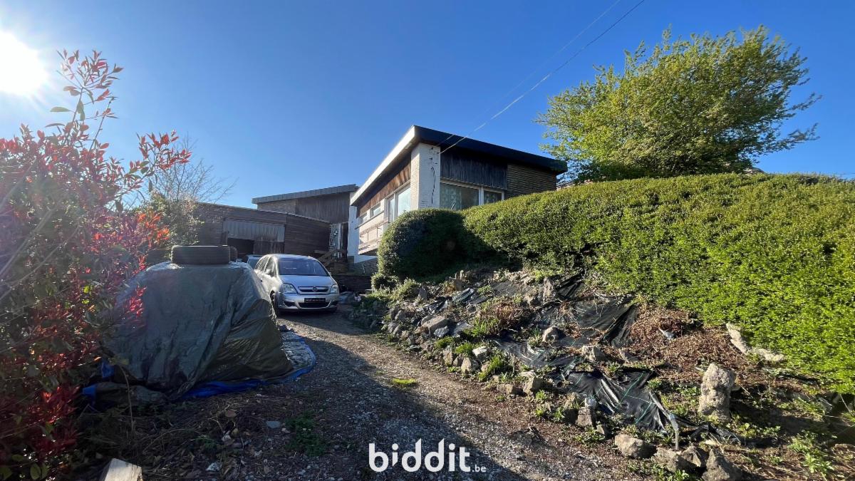 Presentatiebeeld van het pand n° 294017