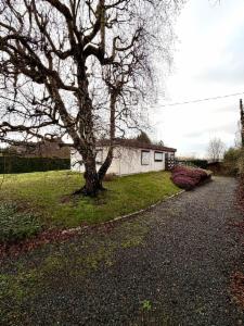 Tweede alternatieve foto van het pand