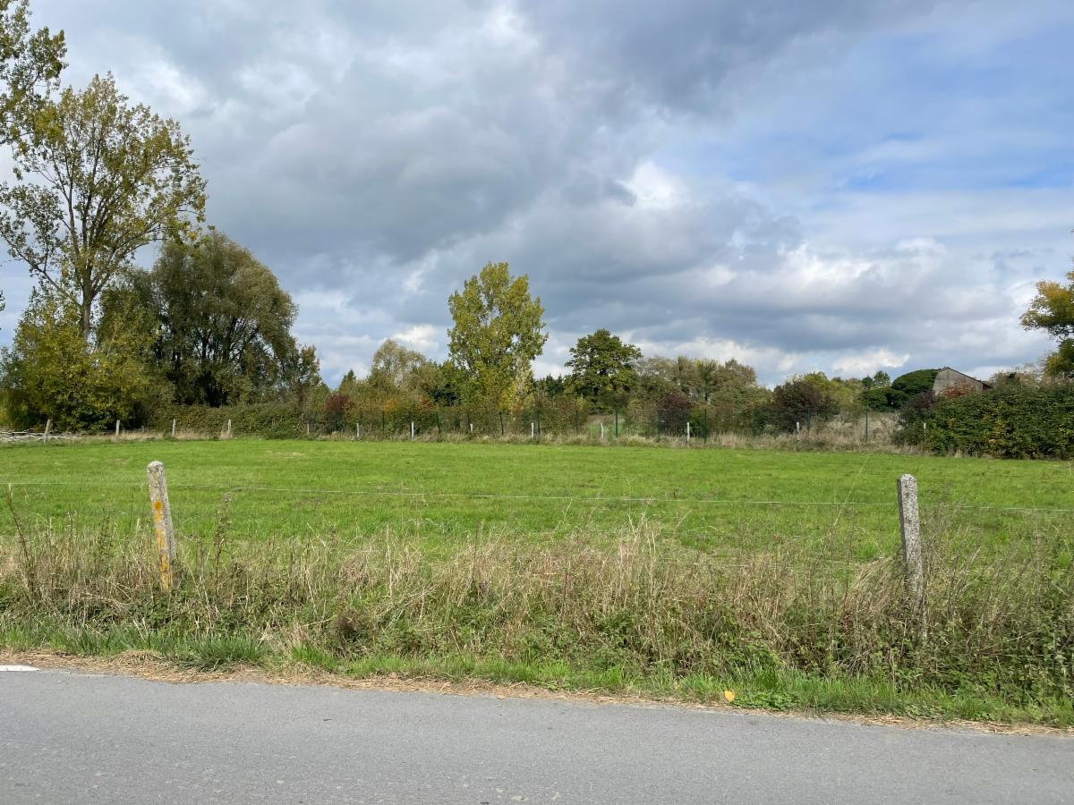Presentatiebeeld van het pand n° 303240