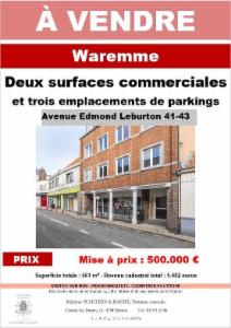 Presentatiebeeld van het pand n° 290686