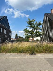 Presentatiebeeld van het pand n° 284289