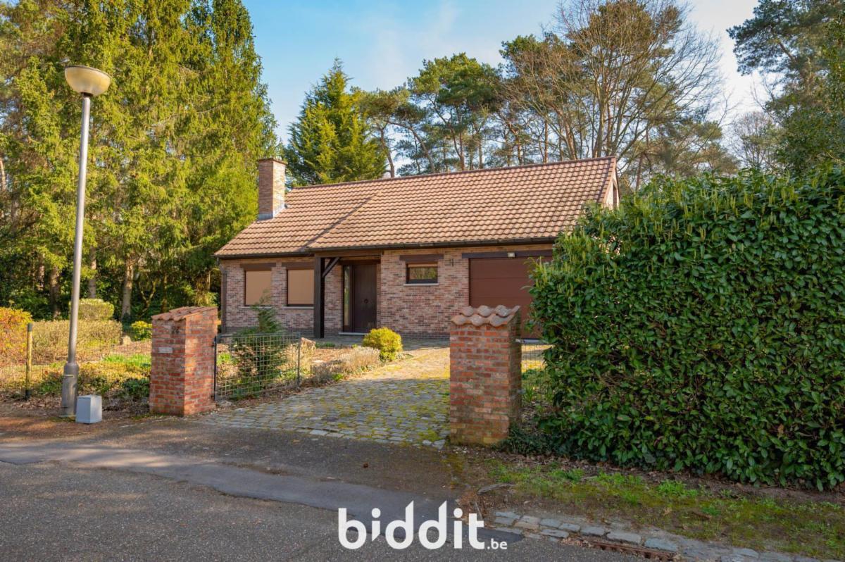 Presentatiebeeld van het pand n° 295681