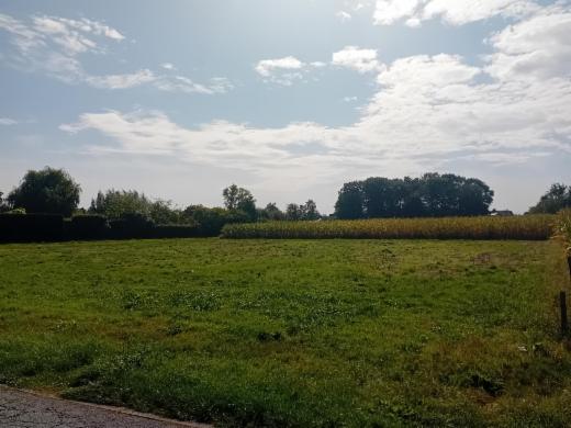 Presentatiebeeld van het pand n° 301626