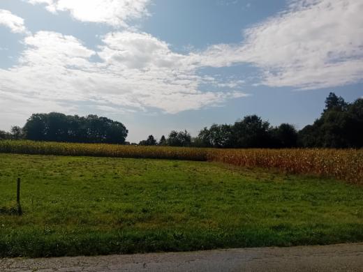 Derde alternatieve foto van het pand