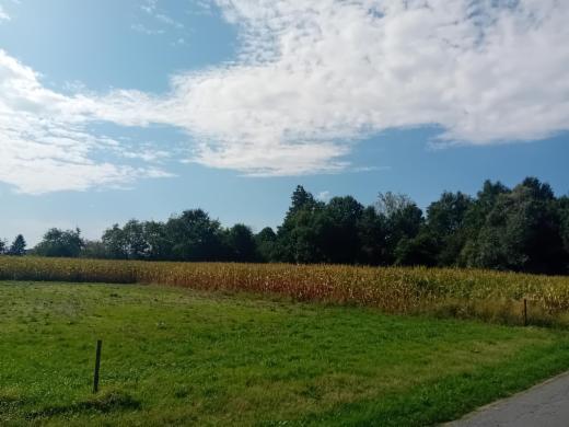 Tweede alternatieve foto van het pand