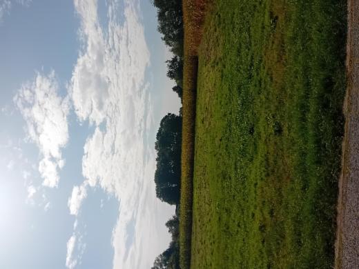 Eerste alternatieve foto van het pand