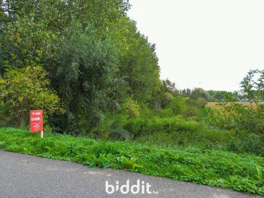 Eerste alternatieve foto van het pand