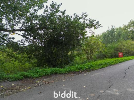 Derde alternatieve foto van het pand