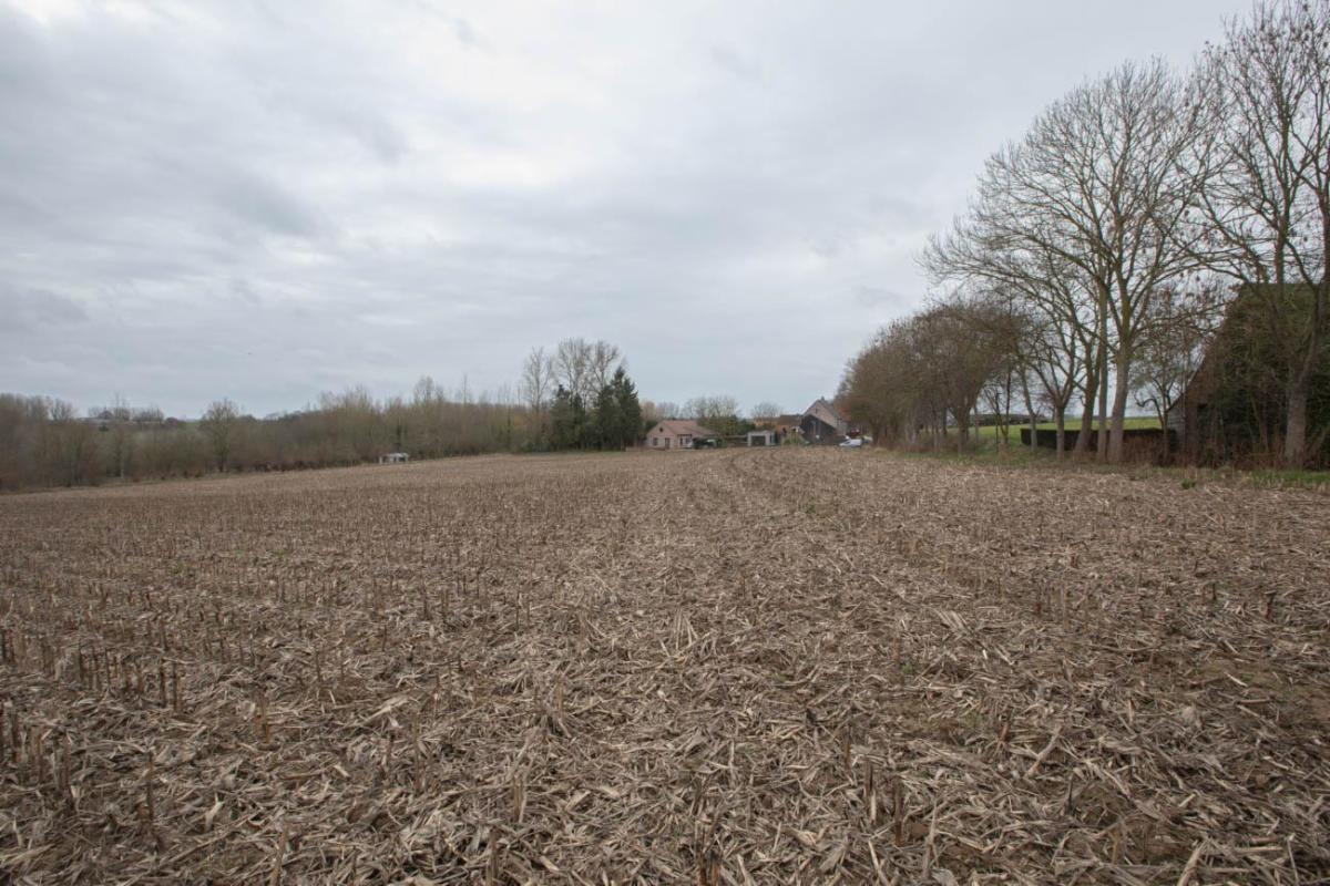 Presentatiebeeld van het pand n° 293129