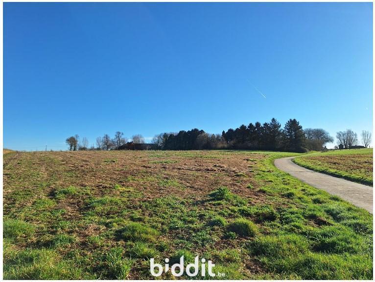 Presentatiebeeld van het pand n° 294686