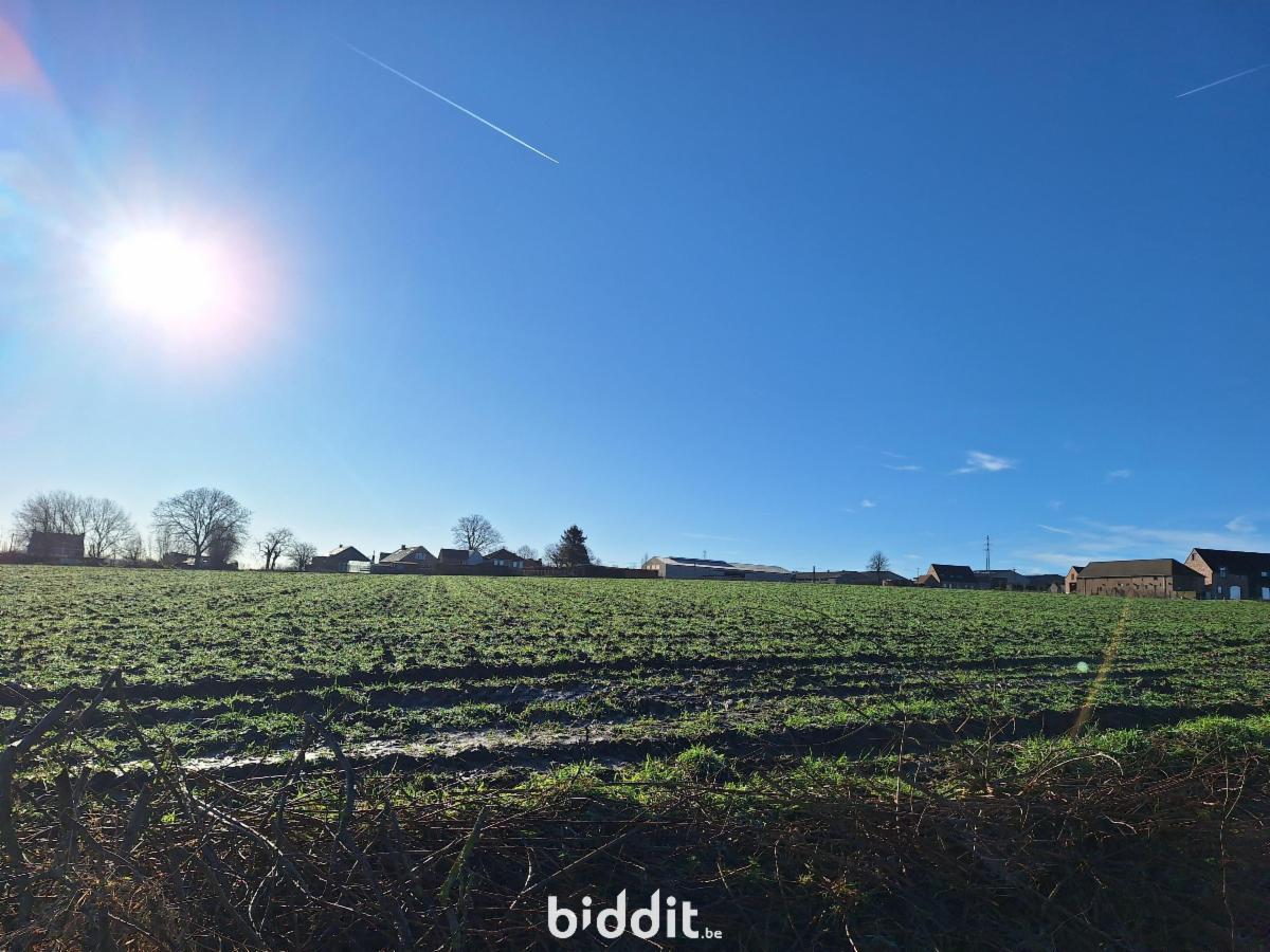 Presentatiebeeld van het pand n° 294688