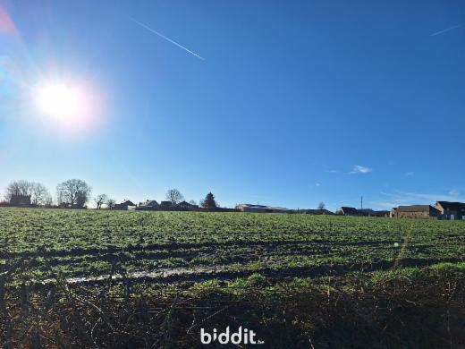 Presentatiebeeld van het pand n° 294688