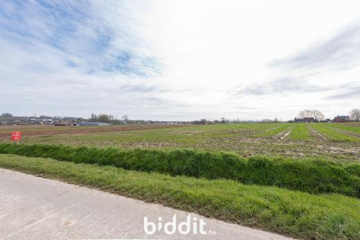 Tweede alternatieve foto van het pand