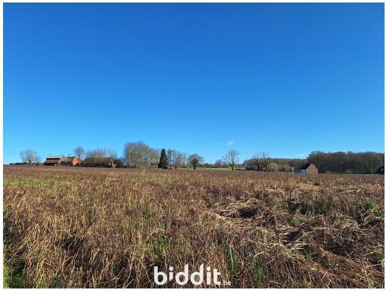 Presentatiebeeld van het pand n° 294691