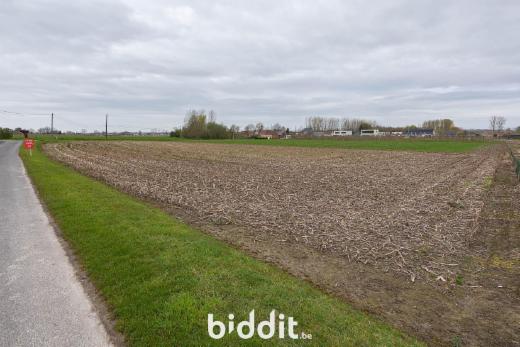 Tweede alternatieve foto van het pand