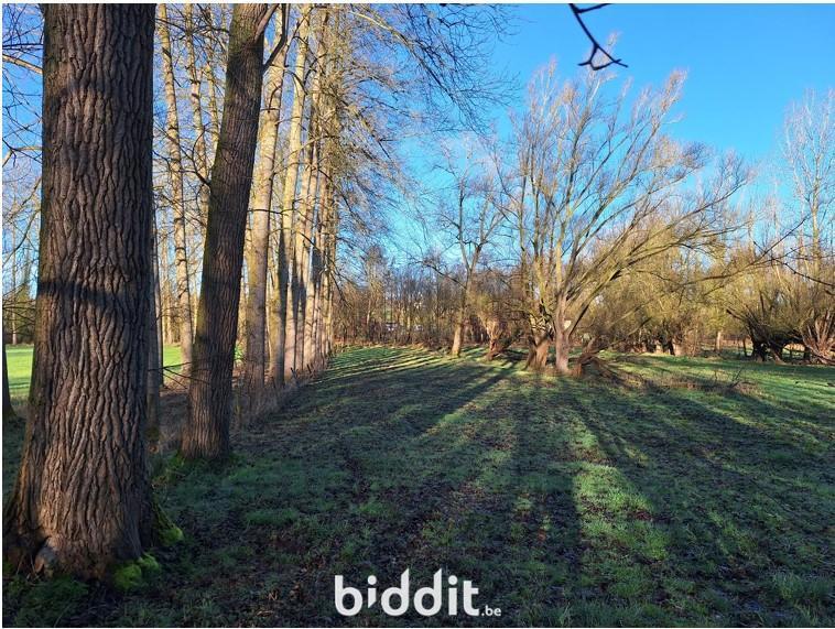 Presentatiebeeld van het pand n° 294695