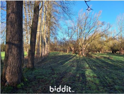 Presentatiebeeld van het pand n° 294695