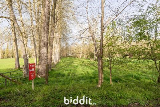 Tweede alternatieve foto van het pand