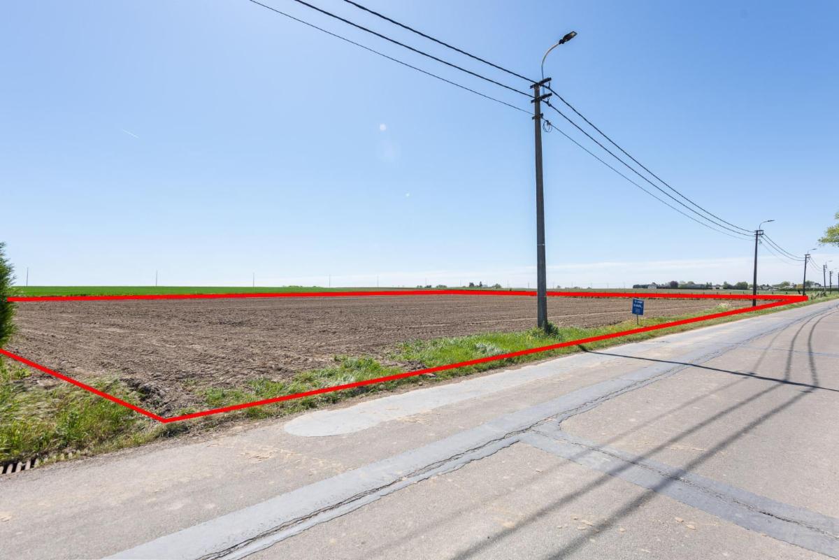 Presentatiebeeld van het pand n° 295692