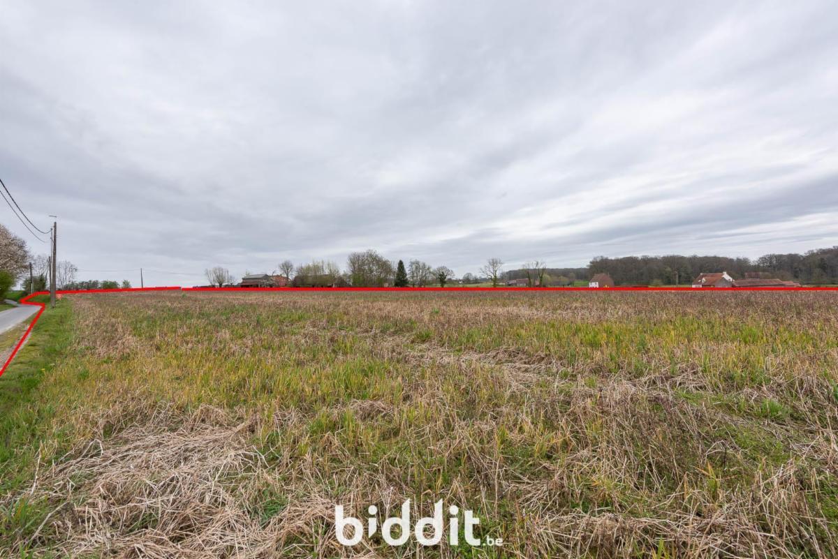 Presentatiebeeld van het pand n° 297177