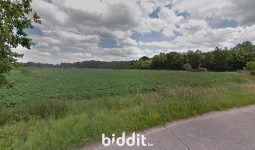 Presentatiebeeld van het pand n° 299878