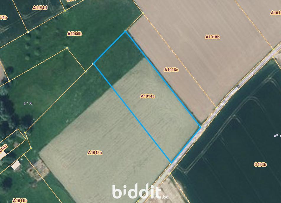 Presentatiebeeld van het pand n° 299880