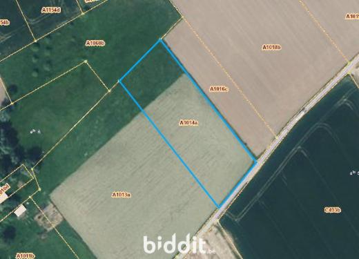 Presentatiebeeld van het pand n° 299880