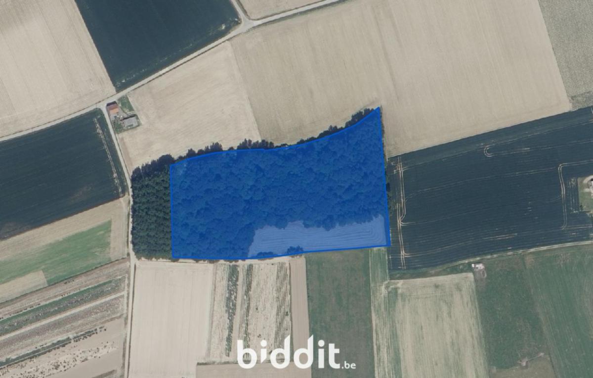 Presentatiebeeld van het pand n° 299881