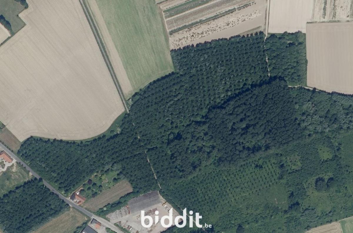 Presentatiebeeld van het pand n° 299882