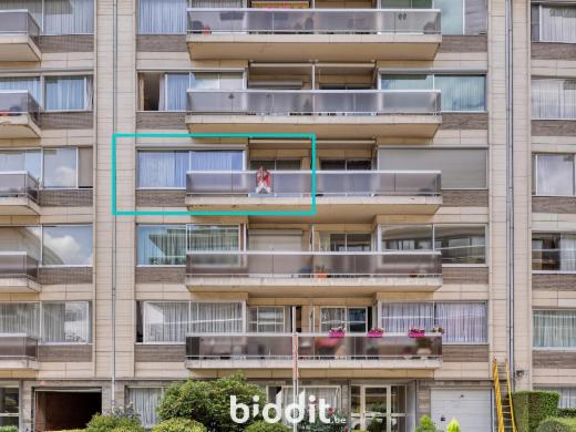 Presentatiebeeld van het pand n° 285177