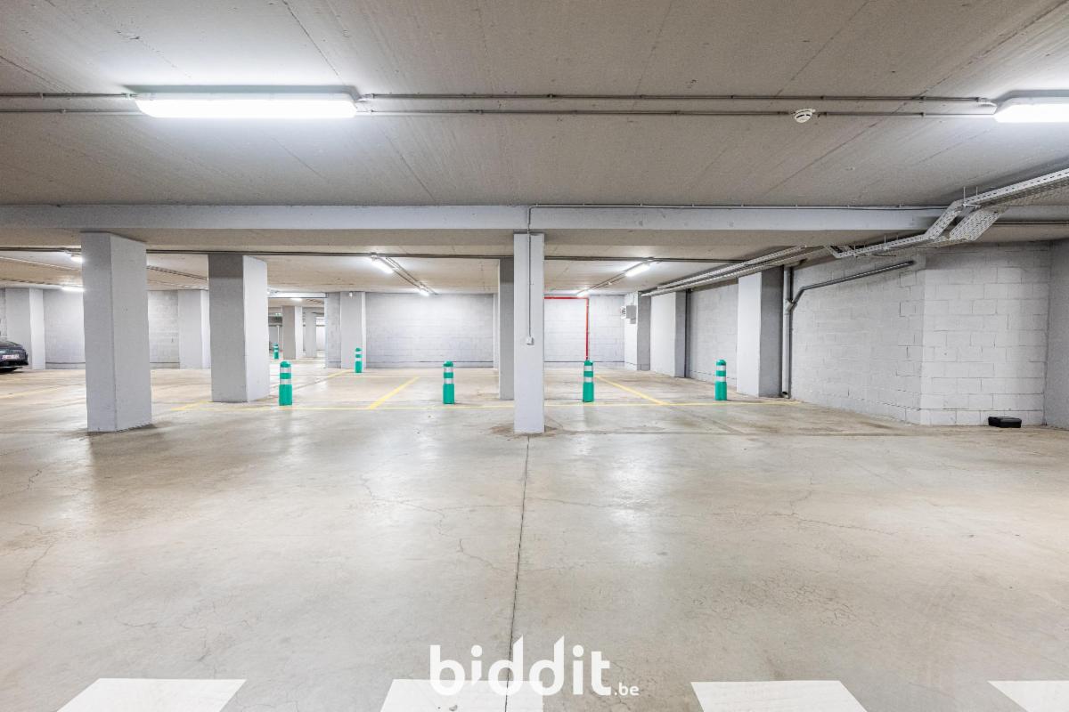 Presentatiebeeld van het pand n° 291676