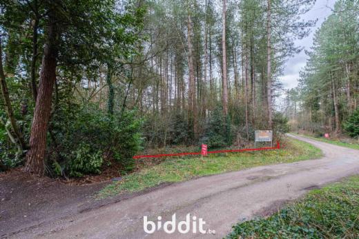 Presentatiebeeld van het pand n° 293005