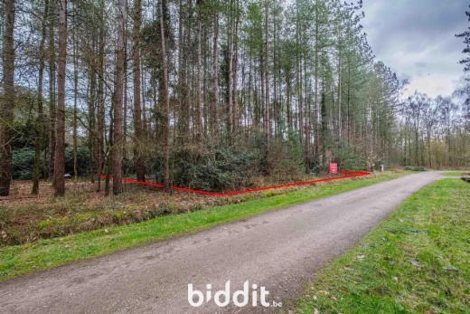 Presentatiebeeld van het pand n° 293007