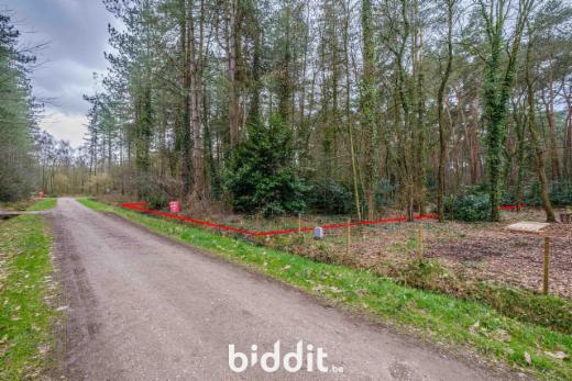 Tweede alternatieve foto van het pand