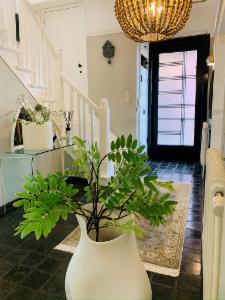 Tweede alternatieve foto van het pand