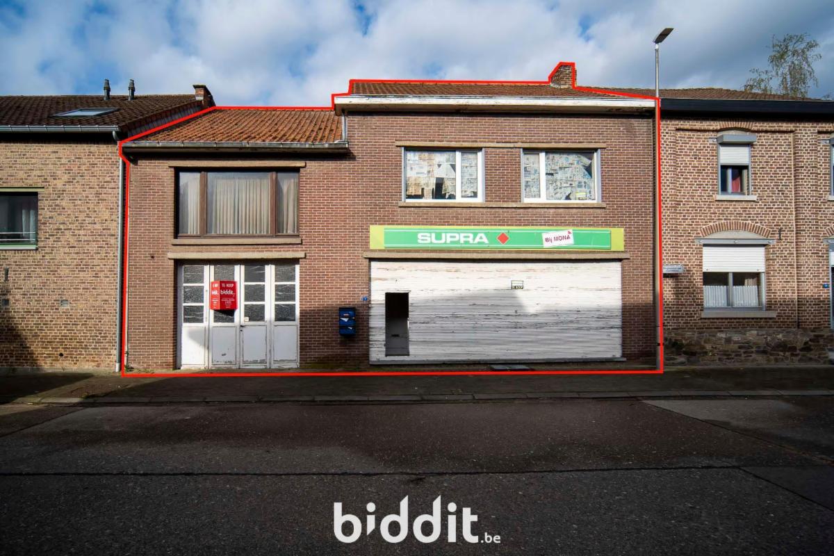 Presentatiebeeld van het pand n° 296678