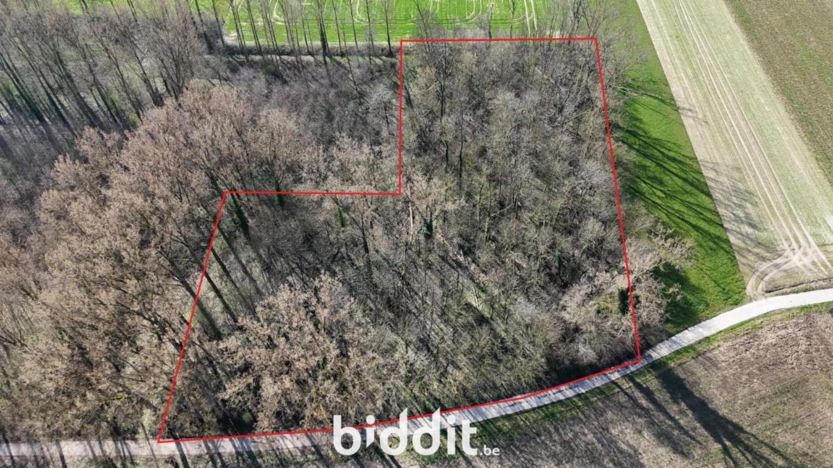 Presentatiebeeld van het pand n° 293964