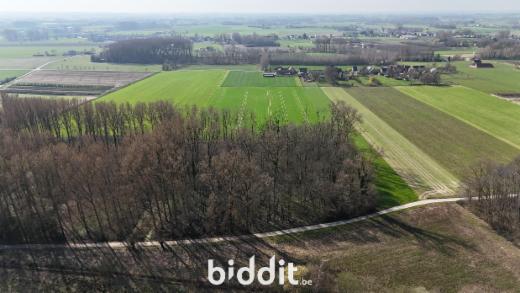 Eerste alternatieve foto van het pand