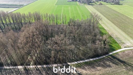 Tweede alternatieve foto van het pand