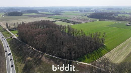 Derde alternatieve foto van het pand