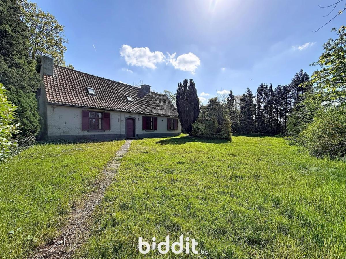 Presentatiebeeld van het pand n° 295693