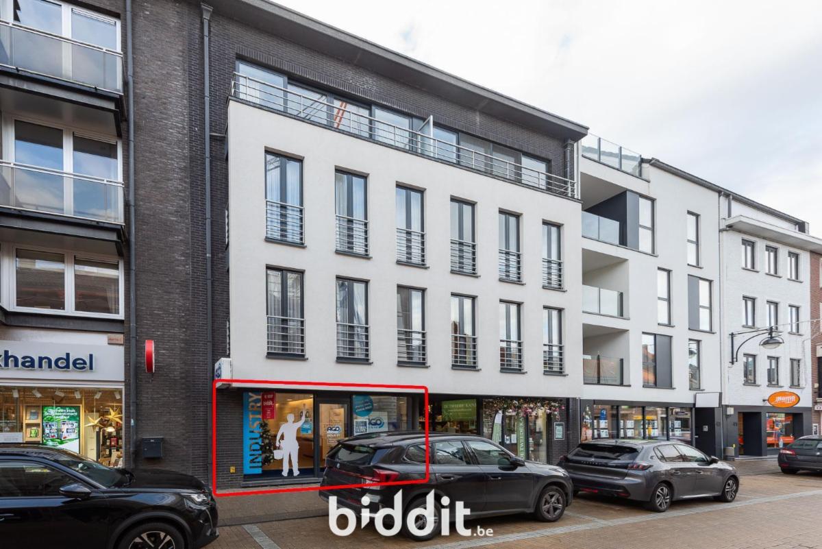 Presentatiebeeld van het pand n° 291307