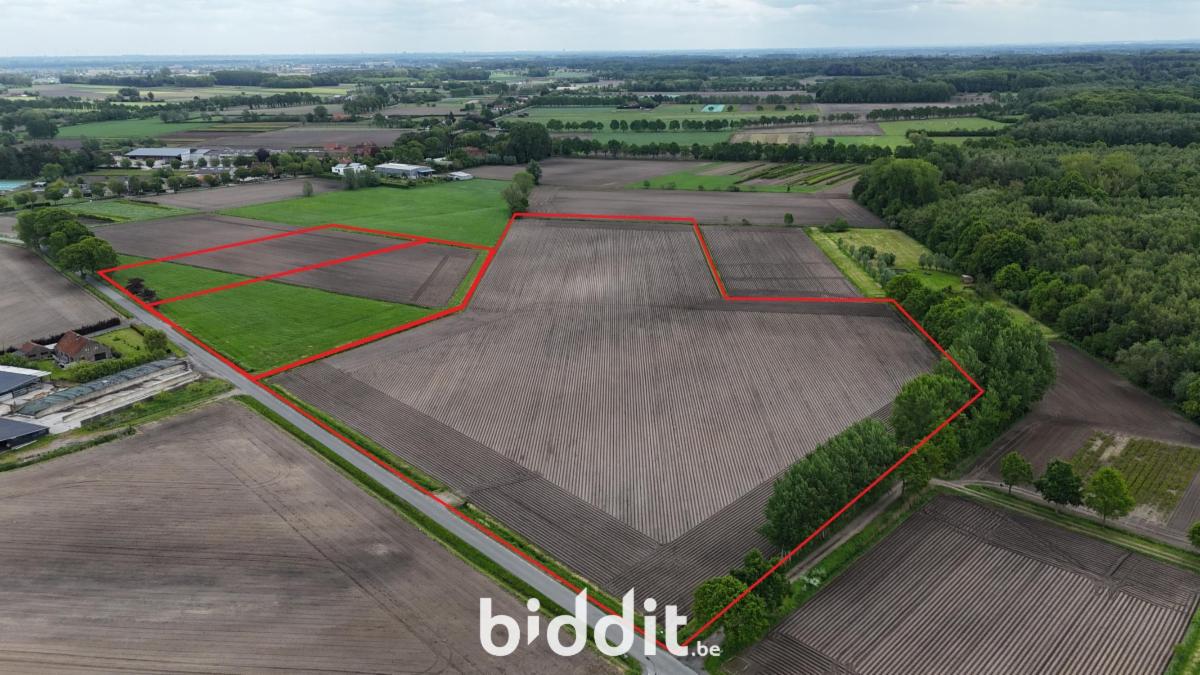 Presentatiebeeld van het pand n° 296897