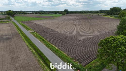Eerste alternatieve foto van het pand